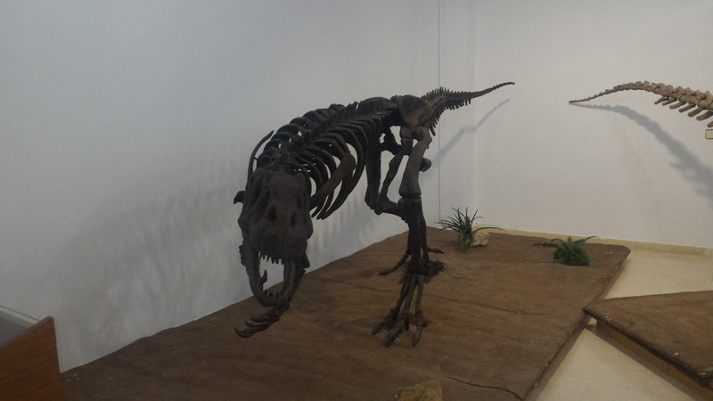 P 20170405 110420 [1600x1200]